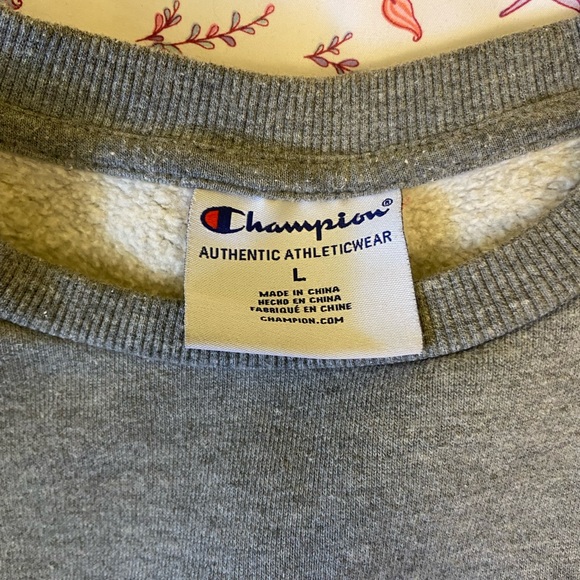 Brand champion size Large in kids/youth , colour grey barely worn - Picture 2 of 2